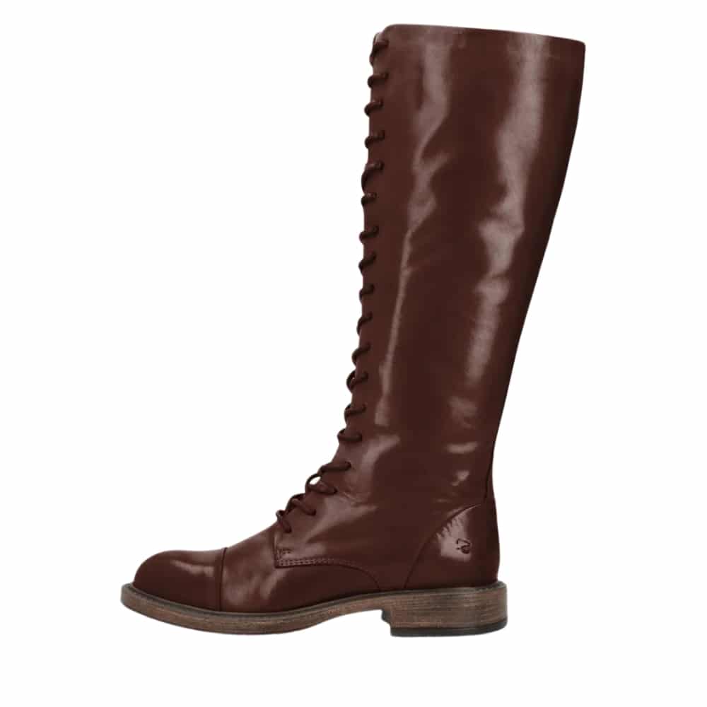 Shoedesign Copenhagen Jacqueline lang snørestøvle til dame i mørkebrunt skind med lynlås og lille hæl på 3 cm.