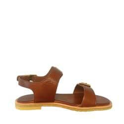 billi-bi-sandal-dame-brun-t8014-86-1