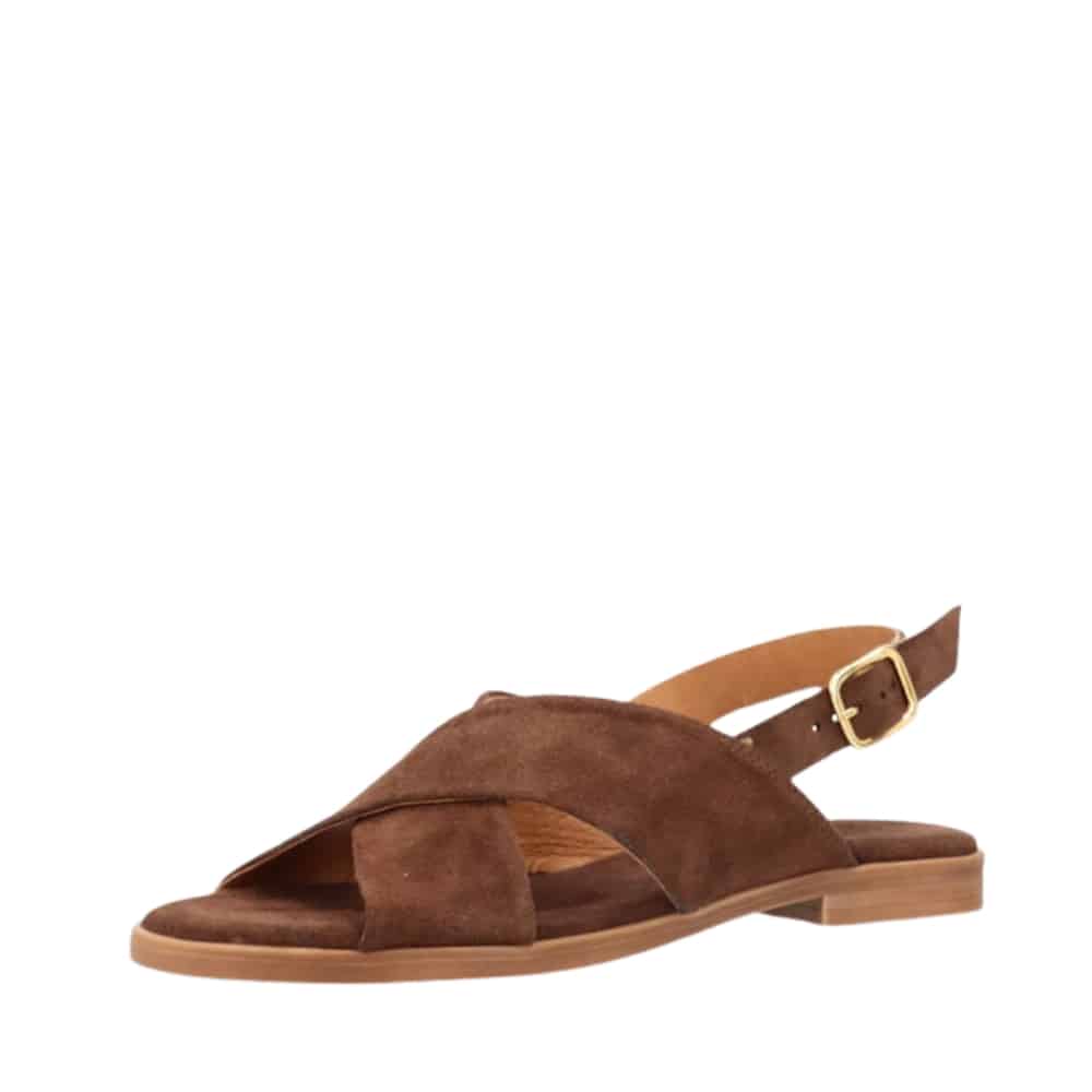 Shoedesign Copenhagen Nicola S sandal til dame i mørkebrun med ruskindsoverdel samt justerbar spænde og ruskindsål