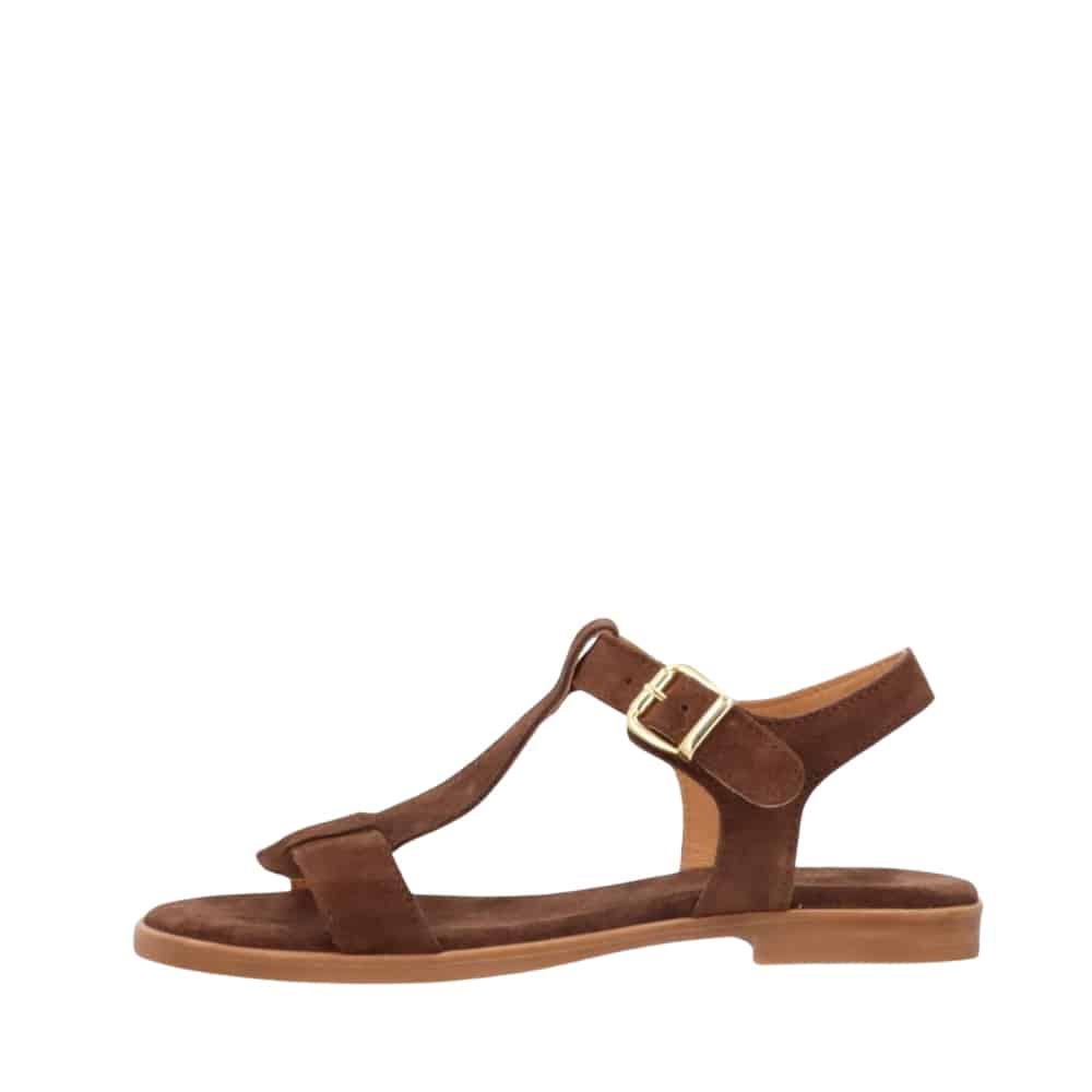 Shoedesign Copenhagen Nora S sandal til dame i mørkebrun, med ruskindsoverdel og spænde