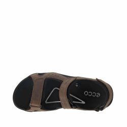 xr:d:DAFqXmqk-VI:1482,j:4331757661732181983,t:24030512