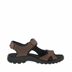 xr:d:DAFqXmqk-VI:1482,j:4331757661732181983,t:24030512