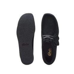 xr:d:DAFqXmqk-VI:1162,j:5921519133067855095,t:23120707