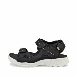 xr:d:DAFqXmqk-VI:1266,j:321295996102909292,t:24010509