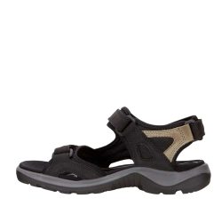 xr:d:DAFqXmqk-VI:1253,j:8430027115686789831,t:24010507