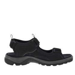 xr:d:DAFqXmqk-VI:1256,j:1234400814253271603,t:24010508