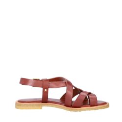 billi-bi-sandal-dame-brun-T8012-86-3.jpg